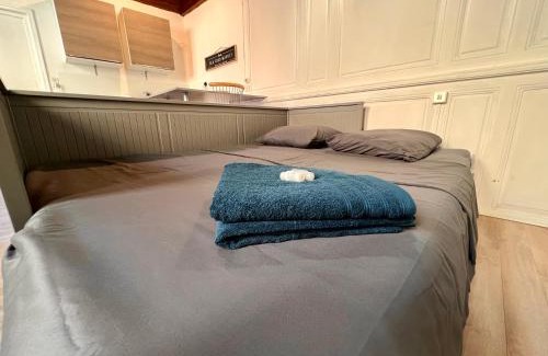Besancon Old Town Apartment | Appartement 2 prsn Au pied de la Citadelle