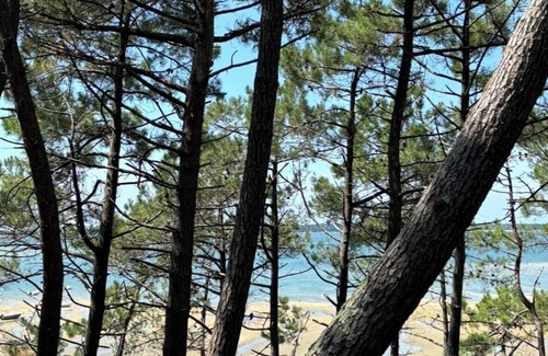 Arcachon Apartment | Appartement 3 Pièces au Coeur D'arcachon, 5' de la Plage à 10' de la Gare