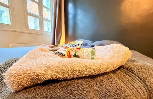Besancon Old Town Apartment | Appartement 3 prsn Au pied de la Citadelle