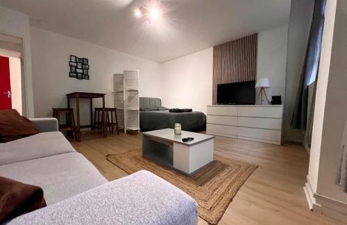 Besancon Old Town Apartment | Appartement 4prsn/Au pied de la Citadelle
