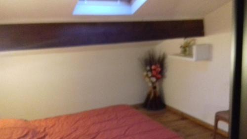 Saint-Gilles Apartment | Appartement Anatole France