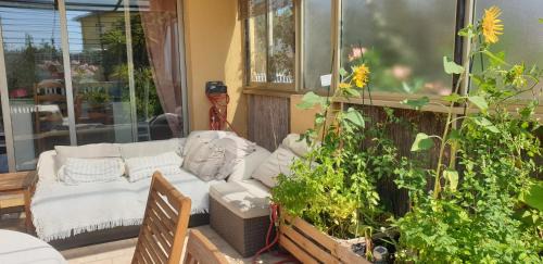 Golfe Juan Apartment | Appartement Angela