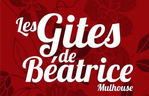 Mulhouse Apartment | Appartement bourgeois Les Etoffes de Mulhouse