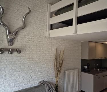 Bruinisse Apartment | Appartement Bru Zeeland