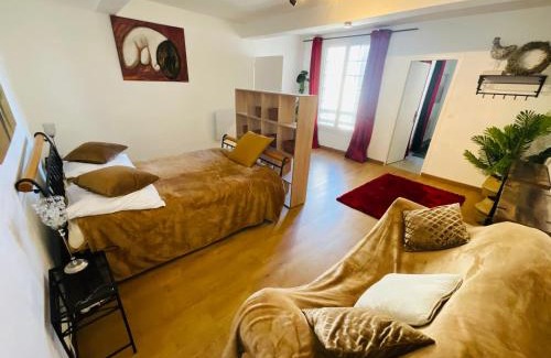 Mirepoix Apartment | Appartement centre ville Chez Annie 60 m2