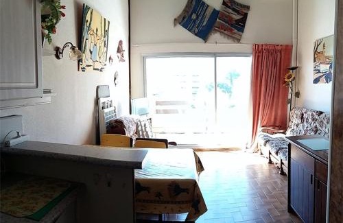 Argeles Plage Apartment | Appartement climatisé avec piscine, parking - Argelès-sur-Mer - FR-1-388-48