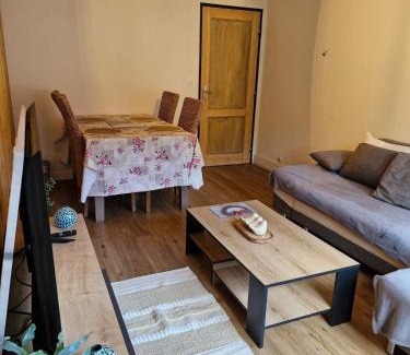 Schirmeck Apartment | Appartement cocooning