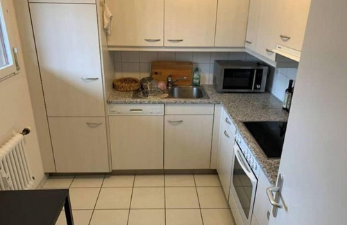 Basel City Centre Apartment | Appartement Confortable Dans le Centre de Kleinbasel