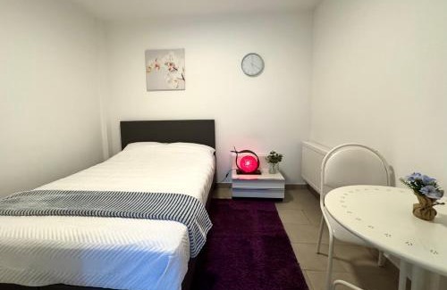Sint-Lambrechts-Woluwe Apartment | Appartement cosy à Bruxelles métro Vandervelde