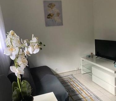 Longjumeau Apartment | Appartement cosy 15 min d'Orly