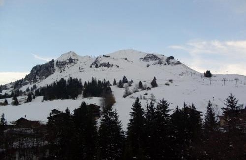 Le Chinaillon Apartment | Appartement cosy au Chinaillon, proche commerces et pistes, 4 pers, animaux admis. - FR-1-467-69