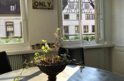 City-Centre - Petite France Apartment | APPARTEMENT DE CHARME 77M2 plein centre