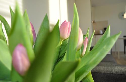 Nes Apartment | Appartement Eigen Tijd