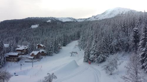 La Perriere Apartment | Appartement en résidence skis aux pieds avec sauna