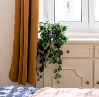 Mulhouse Apartment | Appartement entièrement rénové et cosy avec jardin