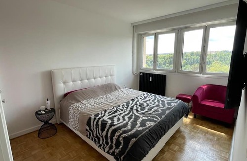 Epinal Apartment | Appartement EPINAL calme
