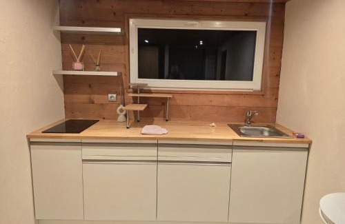 Longevilles-Mont-d'Or Apartment | Appartement 1 chambre