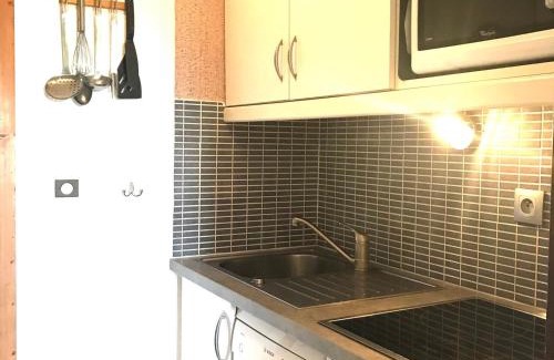 Montalbert Apartment | Appartement lumineux, accès pistes, balcon - FR-1-181-2453