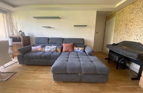 Bron House | Appartement lumineux et convivial à partager