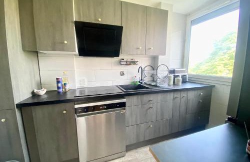 Bron House | Appartement lumineux et convivial à partager