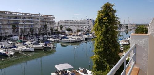 Santa Margarida Apartment | Appartement lumineux sur les canaux