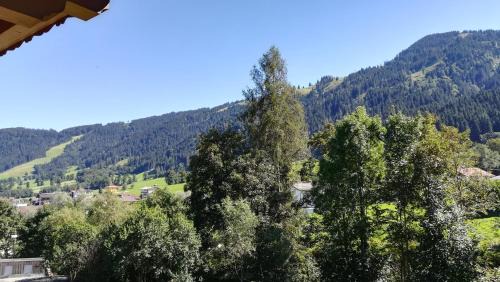 Niederau Apartment | Appartement Maurer