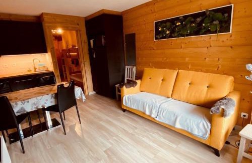 La Clusaz Apartment | Appartement moderne centre village avec balcon et garage - FR-1-459-222