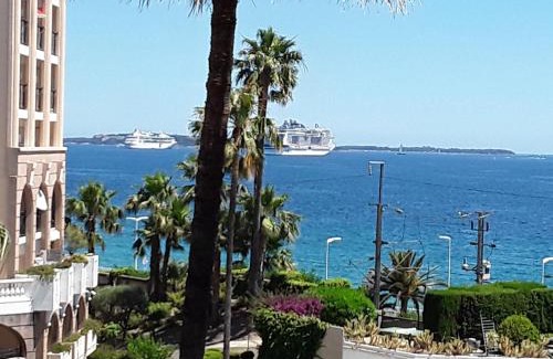 Cannes La Bocca Apartment | Appartement Palm d'Azur