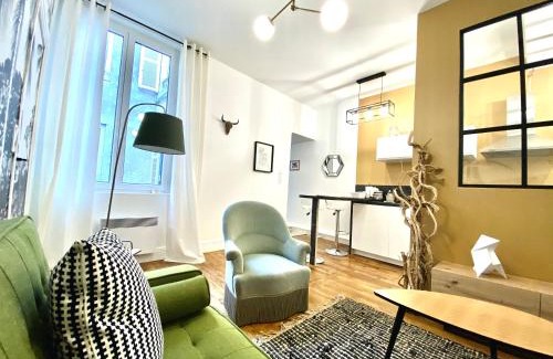 Bourgogne Apartment | Appartement quartier historique Orleans