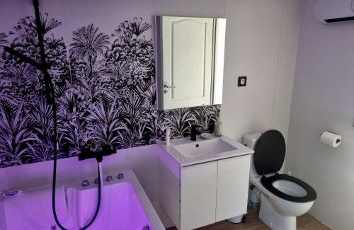 Albi Apartment | Appartement romantique à 5mn de la cathédrale d'Albi