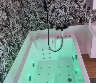 Albi Apartment | Appartement romantique à 5mn de la cathédrale d'Albi