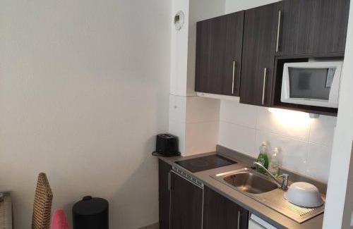 Argeles Plage Apartment | Appartement T2 Climatisé, Terrasse de 23m², Piscine, Parking, à 100m de la Plage, Argelès-sur-Mer - FR-1-388-203