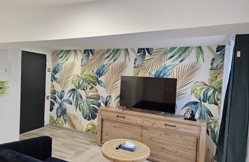 Valenciennes Apartment | Appartement T2 cosy à 5min à pieds de la gare