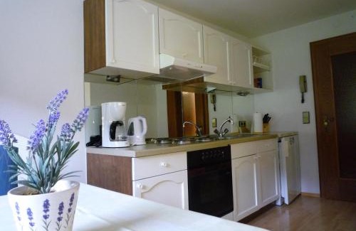 Sillian Apartment | Appartementhaus Klammer