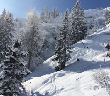 Sankt Anton am Arlberg Apartment | Appartements Rendl