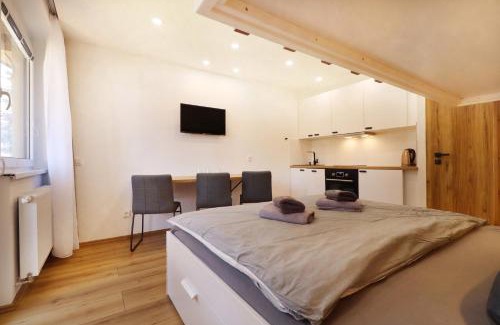 Bayerisch Eisenstein Apartment | Appartements Eisenstein