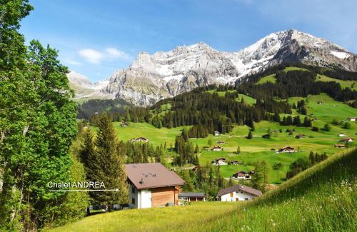 Adelboden Apartment | Appartment Andrea