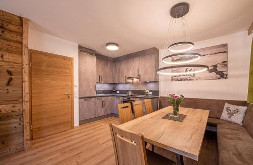 Hochkrimml Apartment | AppartMO 243 Top 1