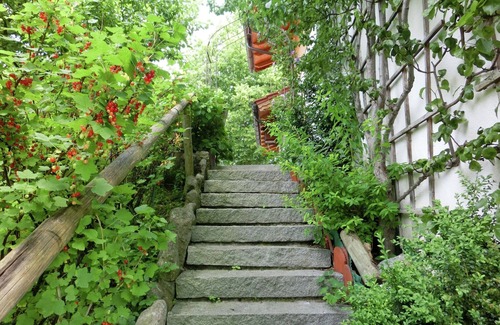 Bad Bayersoien Apartment | Appealing apartment with balcony