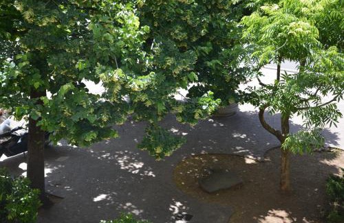Itri Bed & Breakfast | Appio Claudio Tre