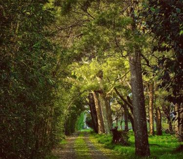 Tawharanui Villa | Apple Cider Lodge