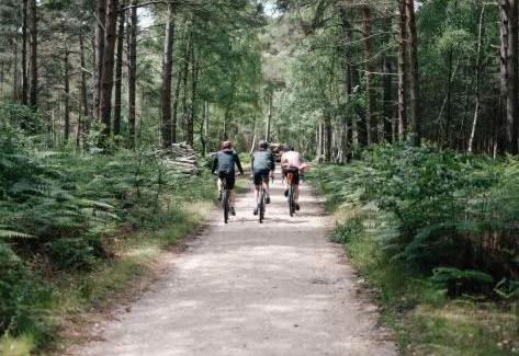 New Forest District House | April Cottage, luxurious accommodation for coast and forest with pool & hot tub