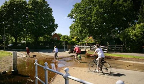 New Forest District House | April Cottage, luxurious accommodation for coast and forest with pool & hot tub
