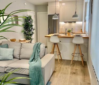 Pontevedra Apartment | Apt Centro Pontevedra