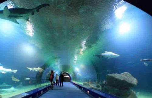 Montolivet Apartment | Apto ruzafa patio center science oceanografic