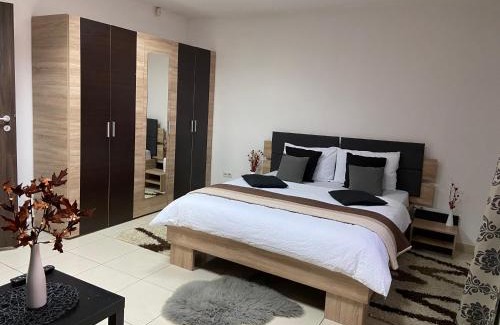 Satu Mare Apartment | Aqua apartman satu mare
