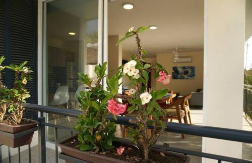 North End Apartment | Aqua Reef Condos Sayulita, Apt 1
