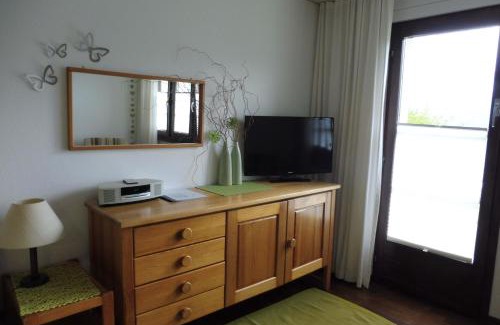 Ernen Apartment | Aragon V149