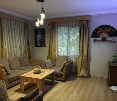 Tsilkani Villa | Aragvi Riverside