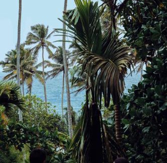 Matara House | Araliya Cabana with oceanview - Madiha Hill